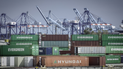 西班牙瓦伦西亚港的集装箱运输遭受重创